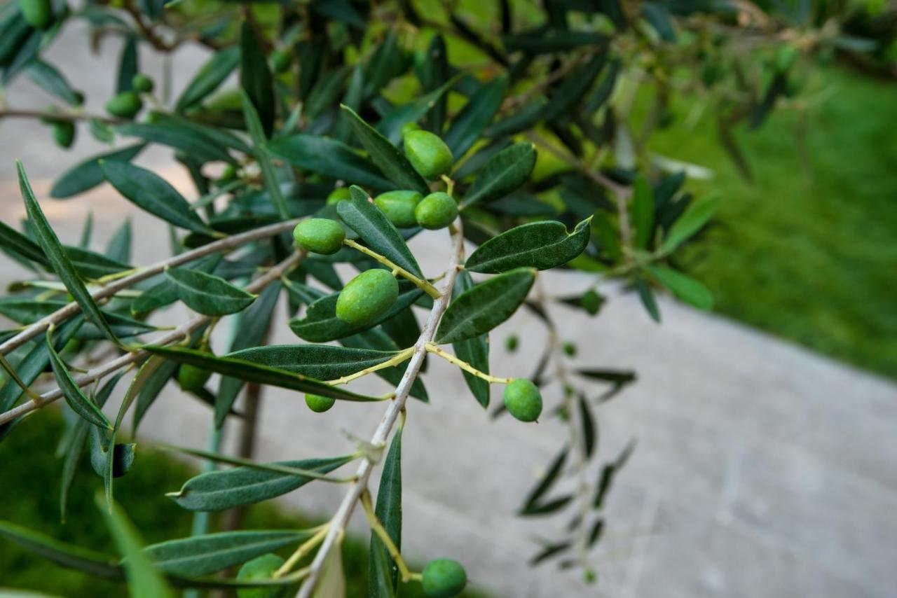Olive 301 Leilighet Peraía Eksteriør bilde